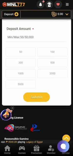Step 4: Write in that blank space "the amount you would like to send," then take the betting site bank's account details.